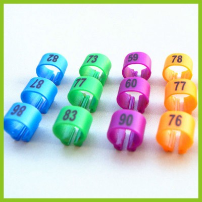 2015 Different Colorful Clip Pigeon Rings Supply By China Manufacture