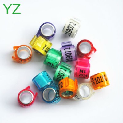 2015 electronic pigeon rings Colorful Rings For sale For Pigeon Legs ,Pigeon Bands