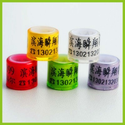 2013 latest all transparent plastic 8mm bands for pigeon for homing pigeon