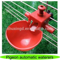 Hot sale pigeon waterer, automatic pigeon feeder, pigeon automatic waterer